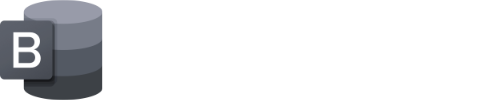 Blink Access logo