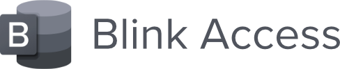 Blink Access logo